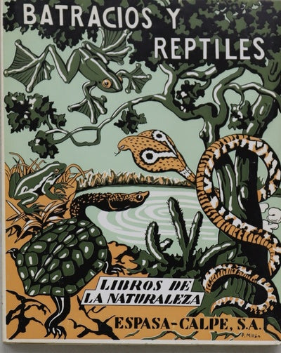 Los batracios y los reptiles