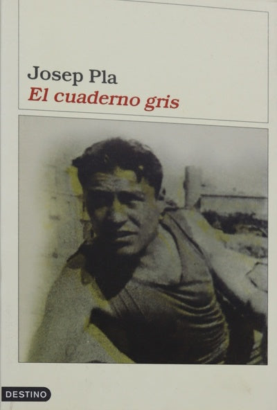 El cuaderno gris