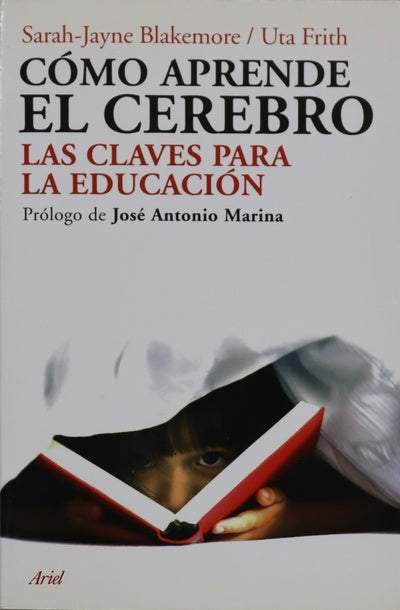 Cómo aprende el cerebro las claves para la educación