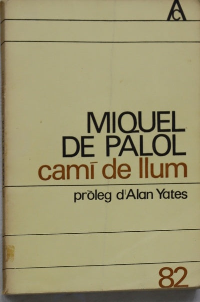 Camí de llum