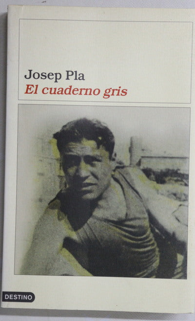 El cuaderno gris