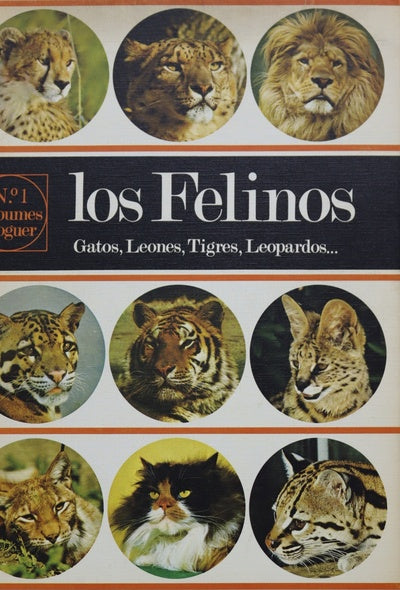 Los felinos