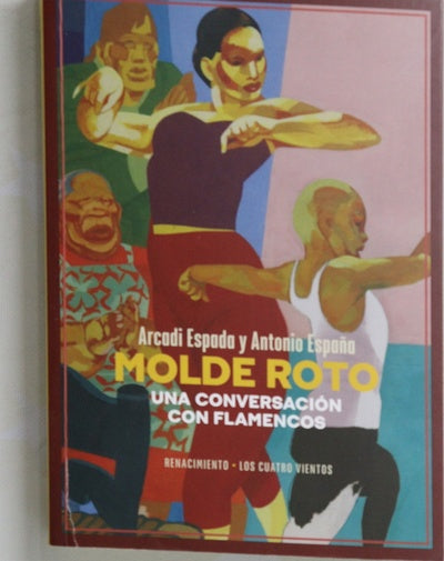 Molde roto : una conversación con flamencos