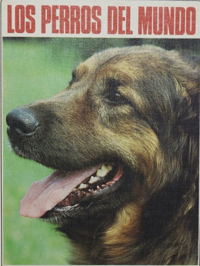Los perros del mundo