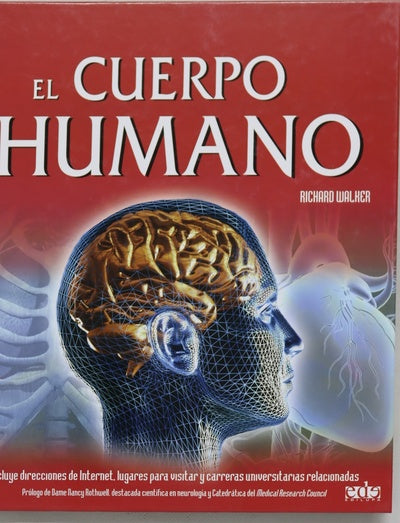 El cuerpo humano