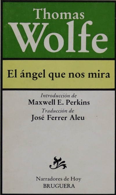 El angel que nos mira