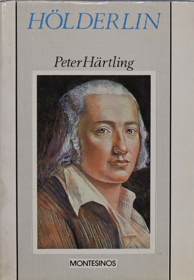 Hölderlin una novela