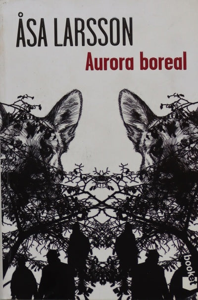 Aurora boreal