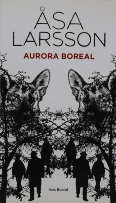 Aurora boreal