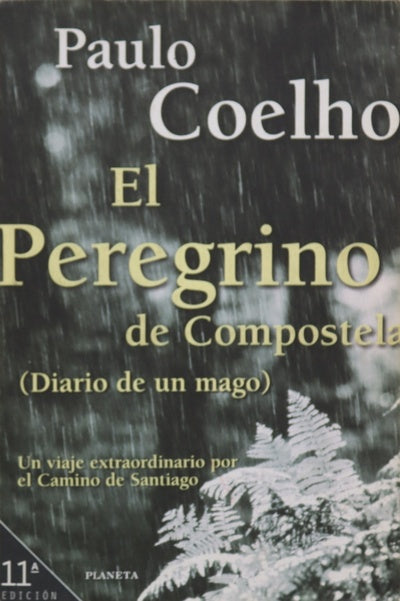 El peregrino de Compostela (diario de un mago)