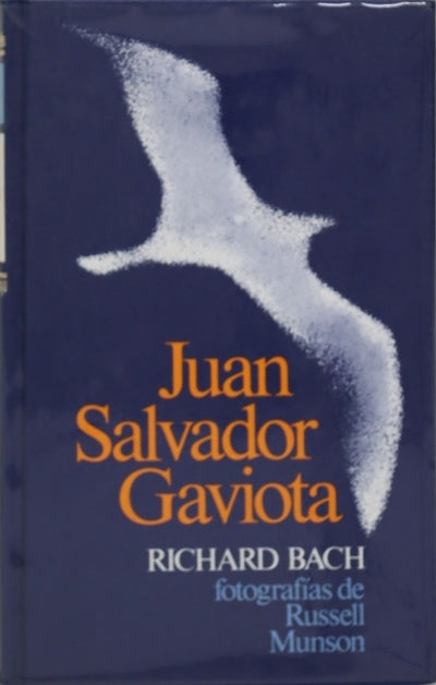 Juan Salvador Gaviota un relato