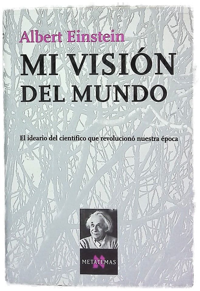 Mi visión del mundo