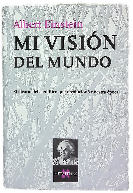 Mi visión del mundo
