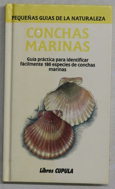 Conchas marinas