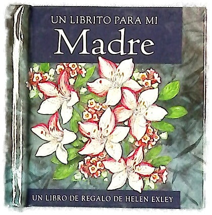 Un librito para mi madre