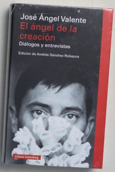 El ángel de la creación : diálogos y entrevistas