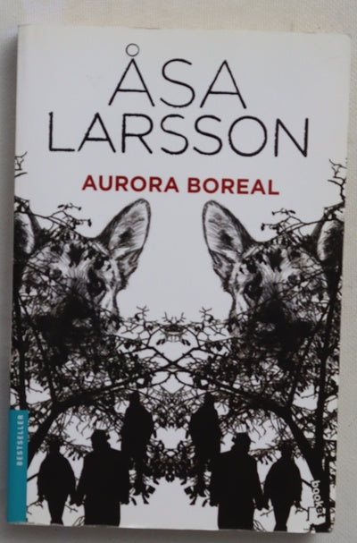 Aurora boreal