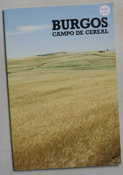Burgos, campo de cereal