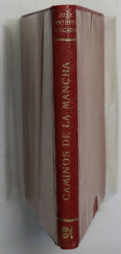 Caminos de la Mancha