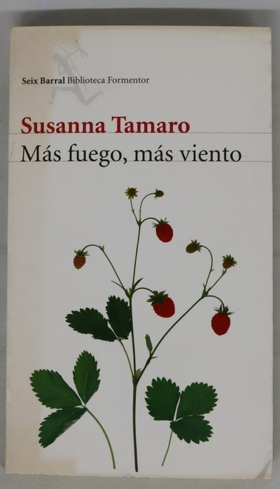 Más fuego, más viento