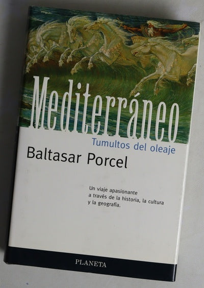 Mediterráneo, tumultos del oleaje