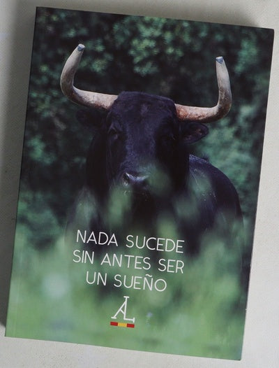Nada sucede sin antes ser un sueño : 25 primeros años, Antonio López Gibaja