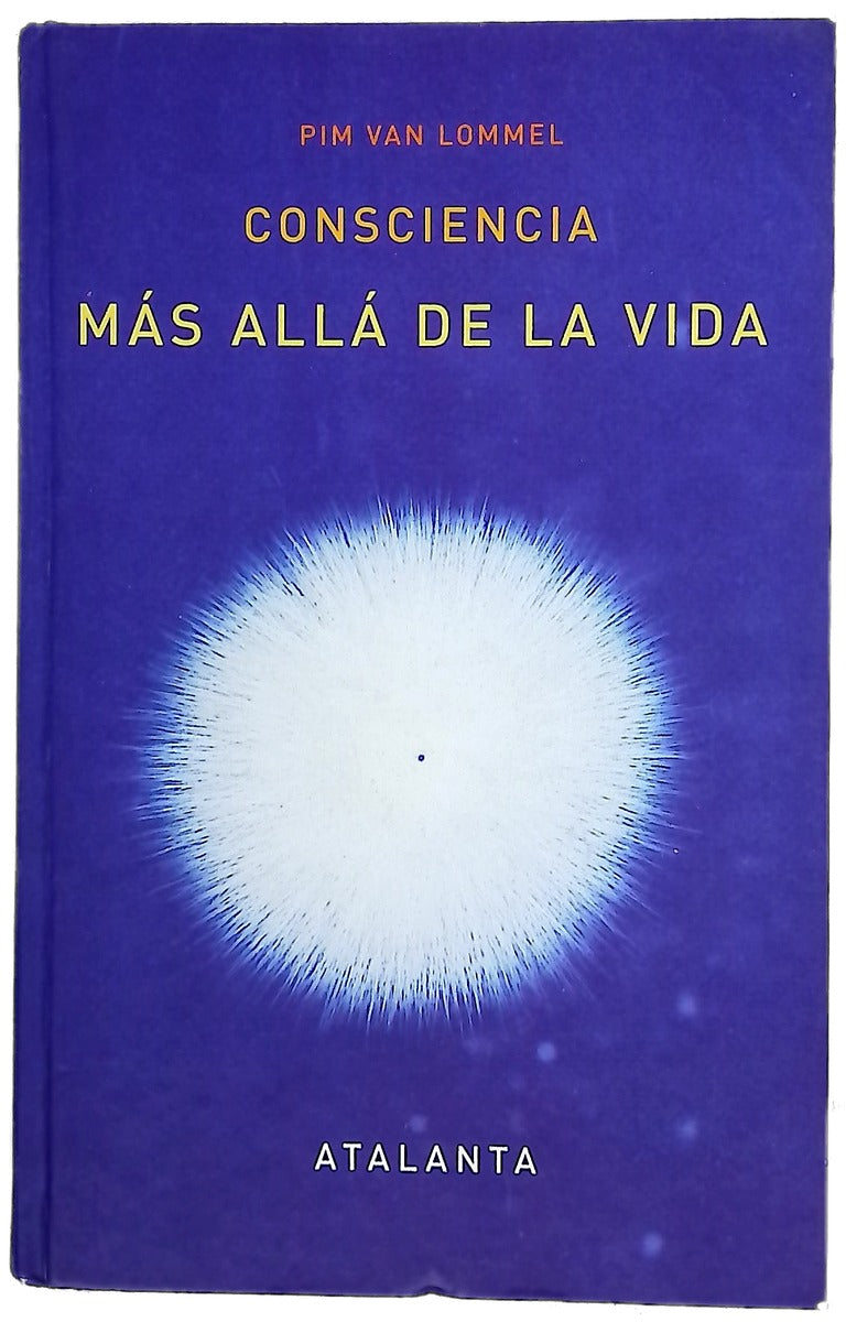 Consciencia más allá de la vida