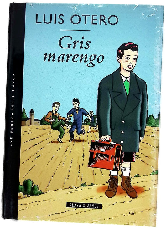 Gris marengo