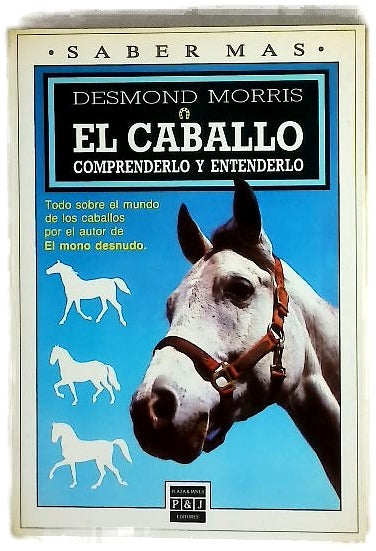 El caballo comprenderlo y atenderlo