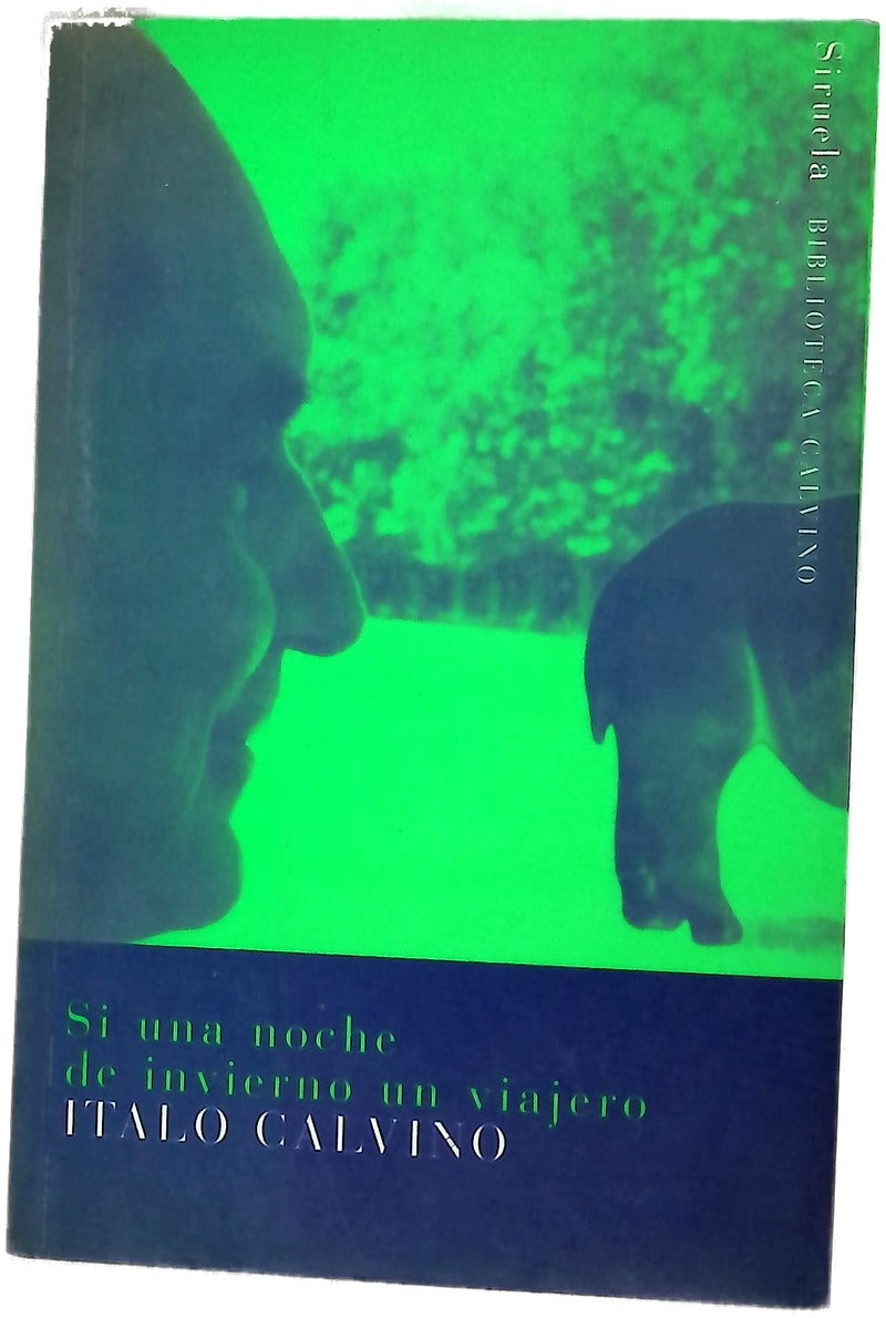 Si una noche de invierno un viajero