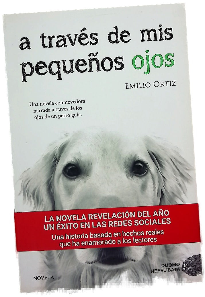 A través de mis pequeños ojos