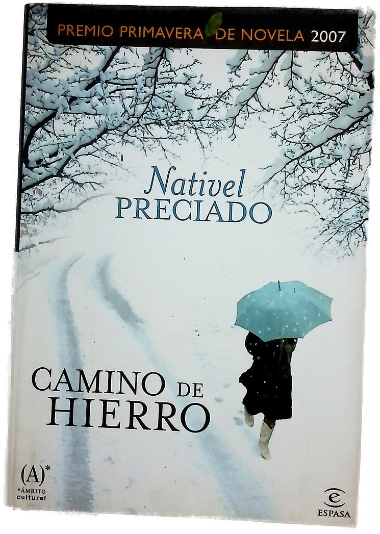 Camino de hierro