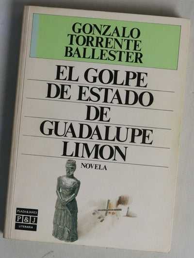 El golpe de estado de Guadalupe Limón