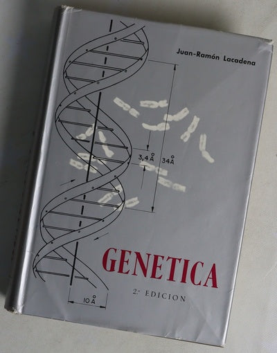 Genética