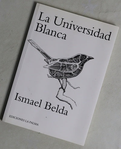 La universidad blanca