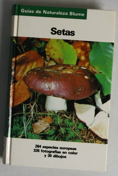Setas