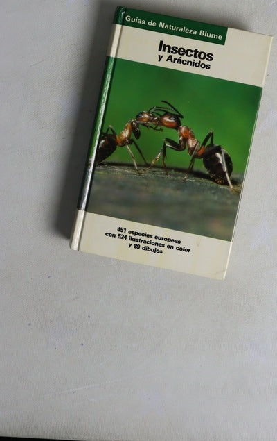 Insectos y arácnidos