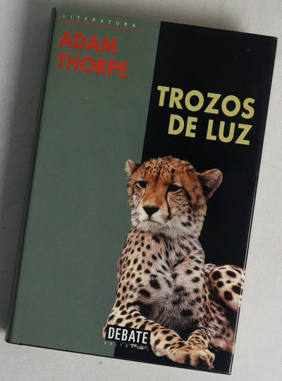 Trozos de luz