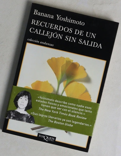 Recuerdos de un callejón sin salida