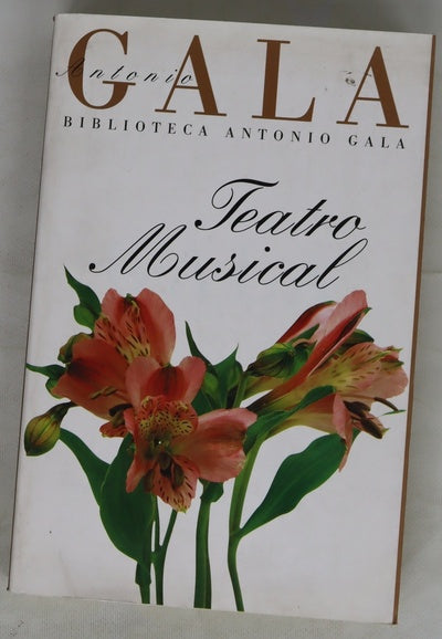 Teatro Musical