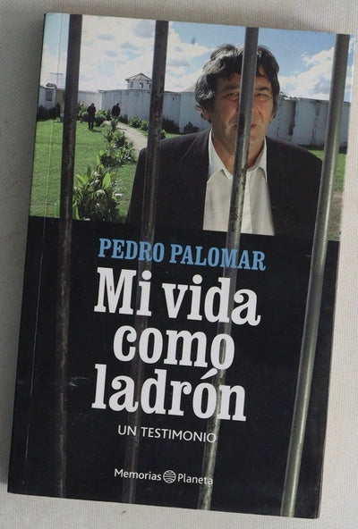 Mi vida como ladron