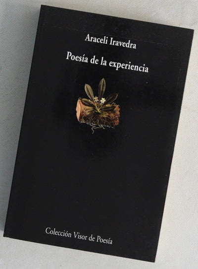 Poesía de la experiencia