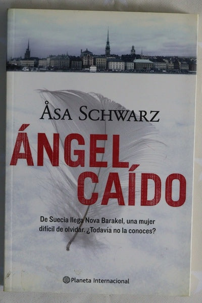 Ángel caído