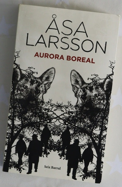 Aurora boreal