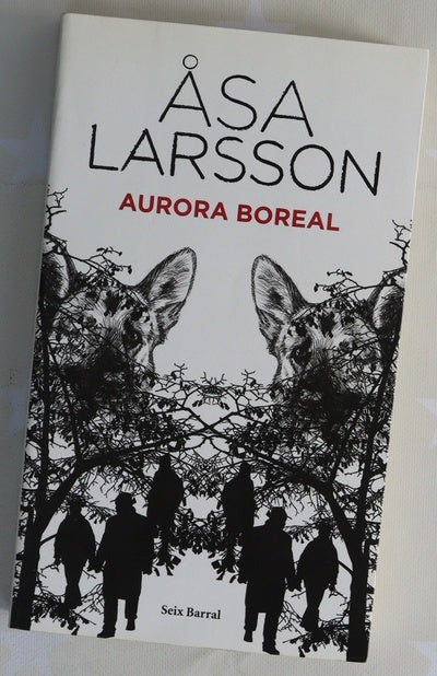 Aurora boreal