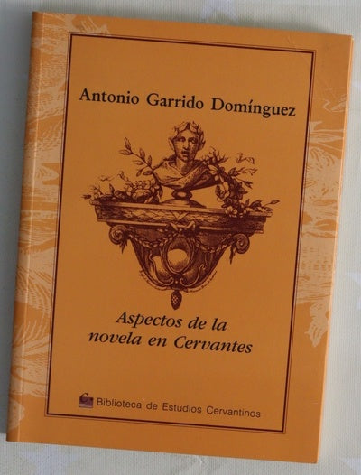 Aspectos de la novela en Cervantes