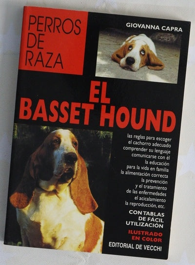 El basset hound