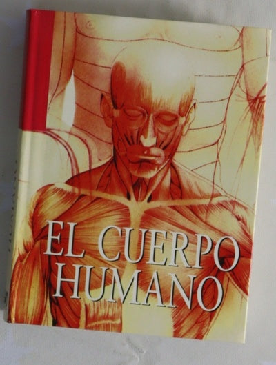 El cuerpo humano