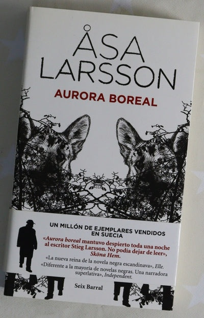Aurora boreal