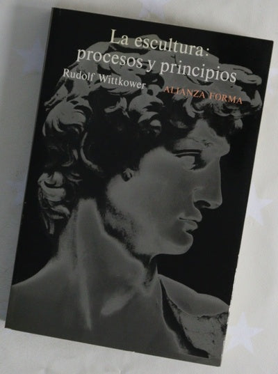 La escultura procesos y principios